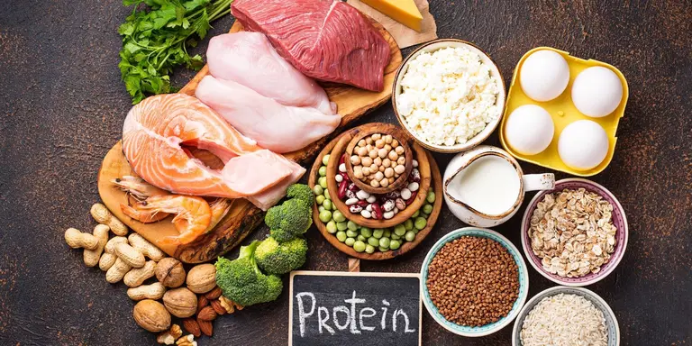 Alimentos ricos en proteína